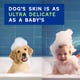 thumbnail image 3 of Champú Douxo SPA para Cachorros 473 ml Piel Sensible, 3 of 7