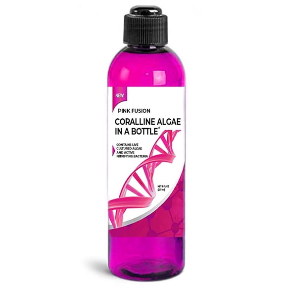 Tratamiento de Agua ARC Reef 237 ml Cepa Pink Fusion para Acuarios Marinos