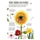 thumbnail image 3 of Mi primer libro de la naturaleza, 3 of 4