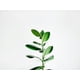 thumbnail image 1 of prueba_promo_70, 1 of 1