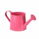 thumbnail image 1 of Mini Regadera, Maceta, Contenedor De Flores Para Manualidades, Recuerdos De Fiesta, Rosa Roja Resistente, 1 of 5