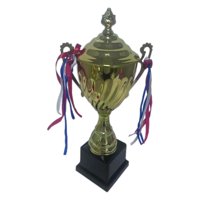 Bothyi - Trofeo De Premio Con Decoración De Cinta Trofeos Ganadores Trofeos Pequeños Para Niños Recuerdo 45 Cm
