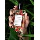thumbnail image 5 of Perfume Berdoues Grands Crus Guaria Morada, Eau de Parfum, 100 ml, 5 of 6