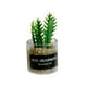 thumbnail image 4 of Mini Juguetes Para Casa De Mu?ecas Modelo De Paisaje Estático Modelado Mini Plantas Artificiales Estilo F, 4 of 5