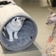 thumbnail image 5 of Pet Tunnel Terunat Gamuza gris 130 cm x 30 cm para gatos de interior, 5 of 6