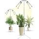 thumbnail image 1 of Grow Lights Yiyehu Full Spectrum 38-157 cm con soporte para trípode, 1 of 7