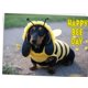 thumbnail image 4 of Tarjeta de Cumpleaños Glory To Dog - Salchicha en Disfraz de Abeja, 4 of 8
