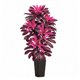 thumbnail image 1 of Árbol Artificial FSOHOI Dracaena Púrpura 183 cm, 1 of 9