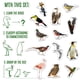 thumbnail image 5 of Juego de imanes para nevera para niños pequeños, imanes con fotos de pájaros para niños, 5 of 9