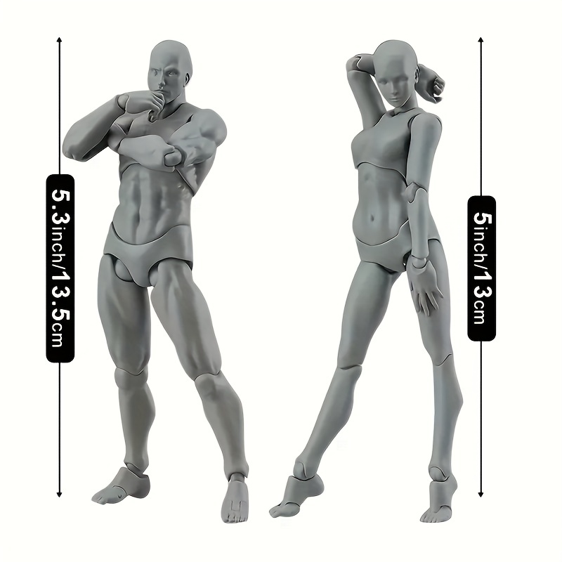 Body-Kun & Body-Chan DX PVC Models: Perfect Gift for Artists