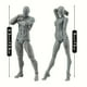 thumbnail image 2 of Body-Kun & Body-Chan DX PVC Models: Perfect Gift for Artists & Children Collectors!, 2 of 4