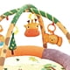 thumbnail image 2 of Gimnasio Colores, 2 of 4