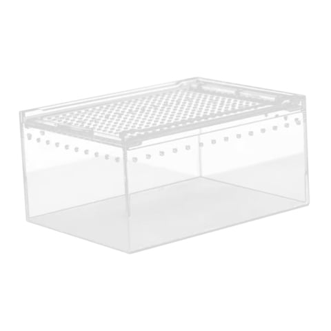 Ioensy - Jaula De Acrílico Para Cría De Reptiles, Hábitat Para Tortugas Y Geckos, 20 X 15 X 10 Cm.