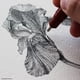 thumbnail image 2 of Rotring Isograph, pluma técnica recargable de 0,25 mm, 2 of 4
