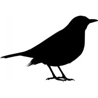 Rienda Libre Graphics - Decomural Sparrow Bird Pack Ws-33044