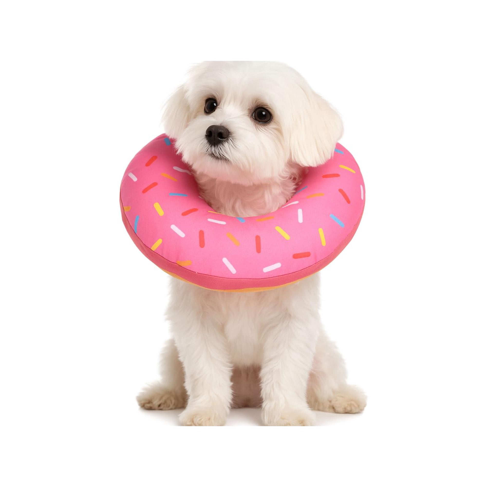 Genérico - Collar Dona Para Mascotas Anti-lamido Talla M Rosa M