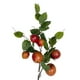 thumbnail image 2 of Rama De Manzana 95cm, 2 of 3