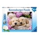 thumbnail image 1 of Puzzle XXL Canasto con perritos - 300 piezas, 1 of 1