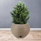 thumbnail image 1 of Macetero para Plantas 32 X 32, 1 of 1