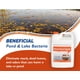 thumbnail image 2 of Limpiador de estanque Crystal Blue, eliminador de suciedad natural, 3,78 L, seguro para koi, 2 of 8