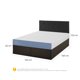 thumbnail image 3 of Cama Iron Smart Excellence 2 Plaza Base Normal, 3 of 9