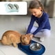 thumbnail image 4 of Cuenco para perros y gatos, cuenco integrado para beber y comer, cuenco para perros y gatos, cuenco de acero inoxidable para alimentación de mascotas., 4 of 5
