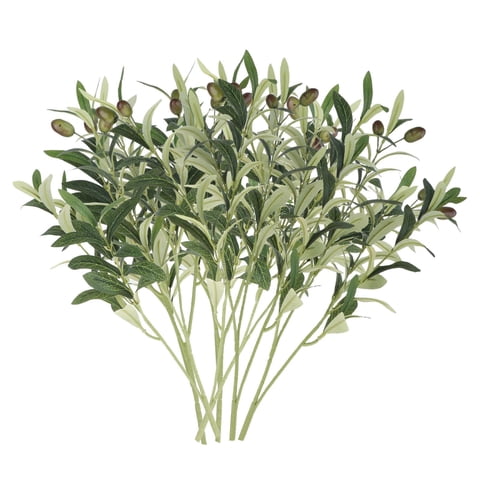 Magideal - Ramas De Olivo Artificiales Ramas De Olivo Decoración Guirnaldas Decoración Accesorios De Fotos Ramas De Olivo De Imitación Altas Y Largas Para Jarrón 6 Ramas Pequeñas