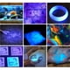 thumbnail image 2 of Linterna Uv Uv 365nm Para Manchas De Mascotas, 2 of 9