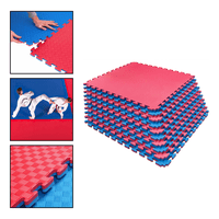 Genérico - Plancha Tatami 100Cm X 100Cm X 2.5Cm Rojo Y Azul