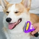 thumbnail image 2 of Cepillo Rastrillo Deslanador Para Mascotas Hogar Lau, 2 of 3