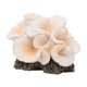 thumbnail image 2 of Adorno De Coral Artificial, Decoración De Pecera Para Balcón, Porche, Patio, Blanco Y Naranja, 2 of 5