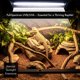 thumbnail image 3 of Luz UVB ReptiKing 24W 10.0 Kit para Reptiles, 3 of 6
