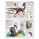 thumbnail image 3 of Dinosaurios. Viaja En El Tiempo…, 3 of 11
