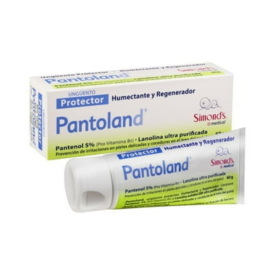 Ungüento Protector Pantoland 60 G Simond’S