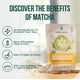 thumbnail image 2 of Tea Jade Leaf Vainilla Matcha Latte en polvo, 150 g, orgánico, 2 of 5