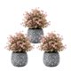 thumbnail image 1 of Set 3 Plantas Artificiales Flores Velo de Novia Decoracion rosa, 1 of 6