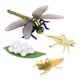 thumbnail image 1 of Modelo de Insecto de Ciclo de Vida de Libélula, Juguete Educativo para Niños, 1 of 3