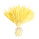 thumbnail image 3 of 100 Piezas De Flor De Oreja De Trigo Real Flores Secas Decoración De Fiesta De Boda Amarillo, 3 of 5