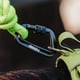 thumbnail image 4 of Correa De Paseo Resistente Para Perros Outdoor Petlounge verde, 4 of 6