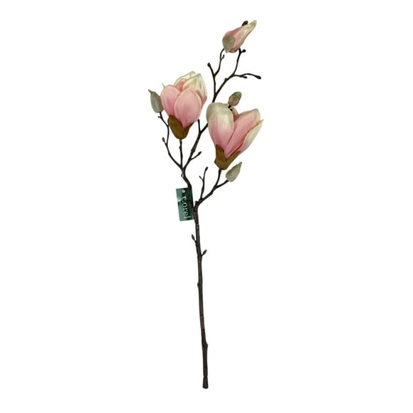 Magnolia Rosada 50cm