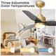 thumbnail image 4 of Ventilador de techo Vaczon 42" negro y dorado con control remoto, 6 velocidades, motor DC, 4 of 9