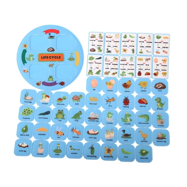 Juguetes Educativos Sobre La Cadena Alimentaria, Ciencia, Ciclo De Vida, Para Niños, Aula, Niños, Azul
