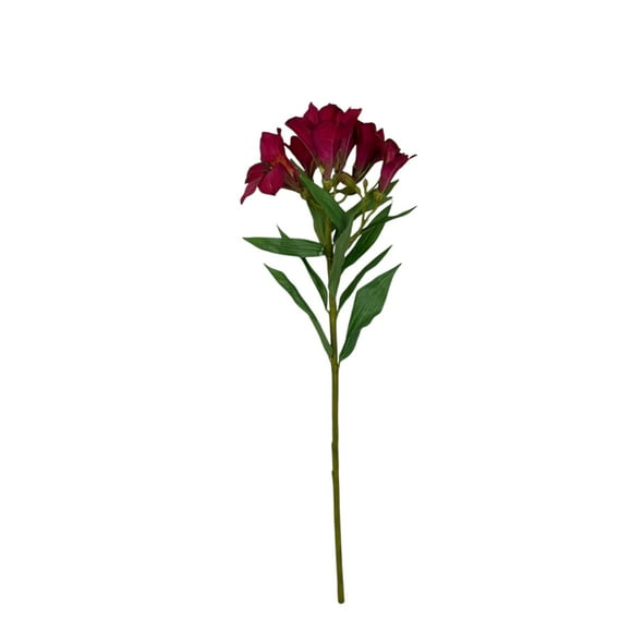 Flor Astromelia Fucsia 63cm