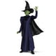 thumbnail image 1 of Disfraz de Wicked Elphaba para niñas con capa y sombrero, 4, 1 of 3