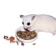 thumbnail image 5 of Planeador Sugar Glider Food Exotic Nutrition completo, 0,9 kg, 5 of 8