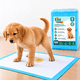thumbnail image 1 of 100 Pañales Sabanillas Absorbentes Para Mascotas 60x45cm S Desechable, 1 of 7