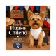 thumbnail image 2 of Traje de Huaso Chileno para Perro Talla S, 2 of 10