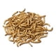 thumbnail image 1 of Tenebrios Deshidratados Alimento Erizos Peces Tortuga 50 Gr, 1 of 2