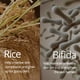 thumbnail image 3 of Serum Farmstay Rice & Bifida Glowing Dark Manchas, 35 ml, 3 of 9