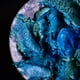 thumbnail image 4 of Crema hidratante facial May Lindstrom Skin The Blue Cocoon 50 ml, 4 of 9